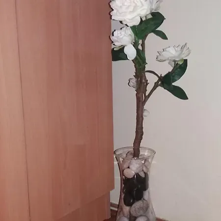 Sweet Center