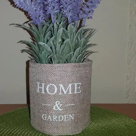 Sweet Center Daire *