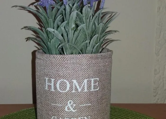 Sweet Center Apartament *